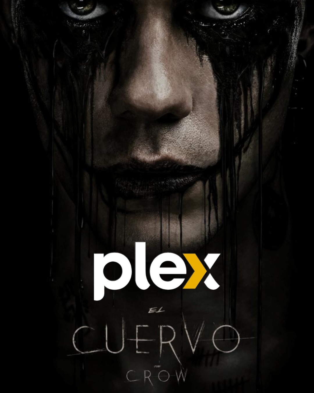 PLEX DISPONIBLE - Image 4